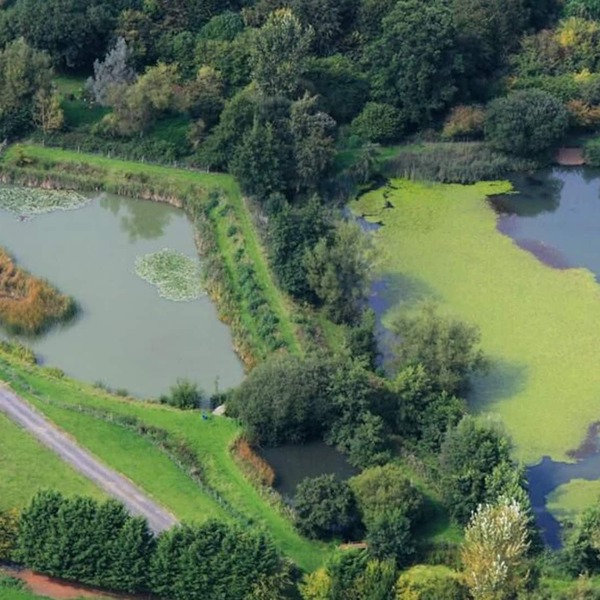 Willow Lakeside Lodge
