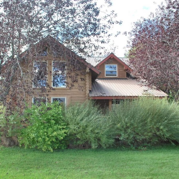 Willow Tree Cabin in Teton Valley