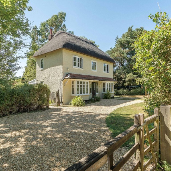 Wonderful thatched cottage in The New Forest