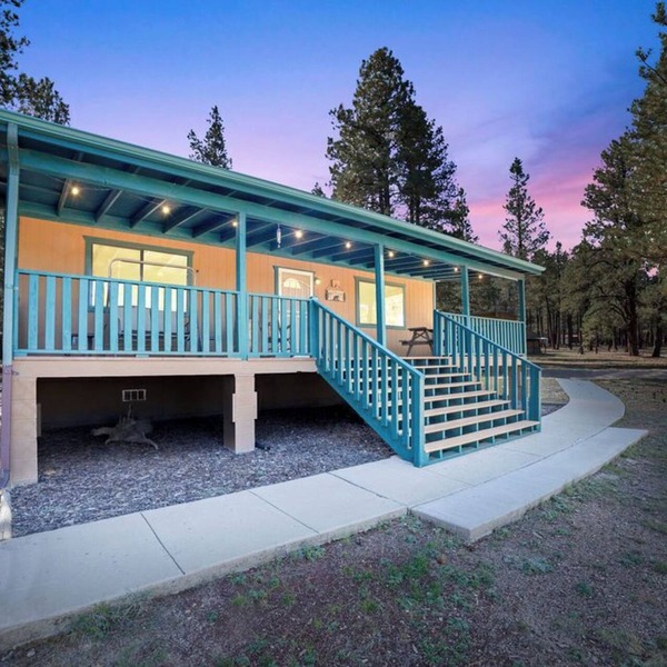 Your Forest Escape! Peaceful, Playful, Unforgettable!