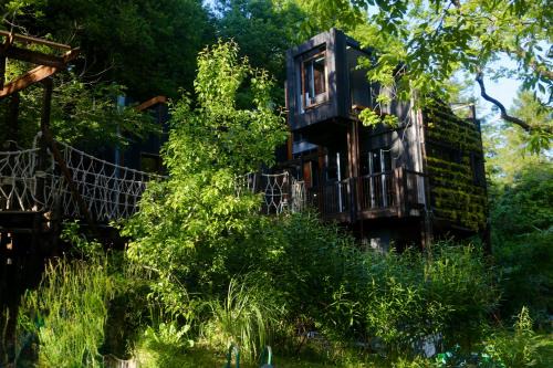Zero Zero Treehouse