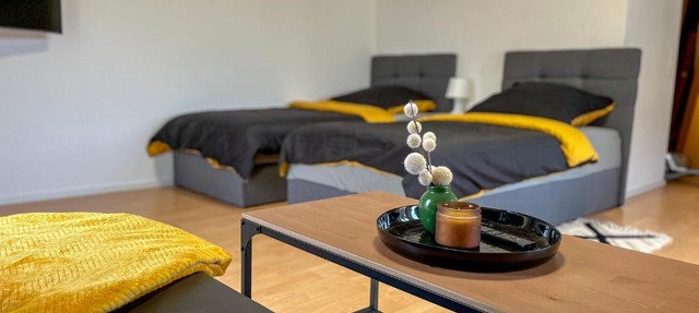 03 Schöne moderne Wohnung mit Smart Tv