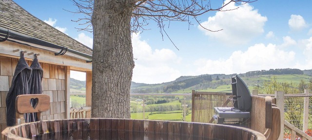 1 bedroom accommodation in Llangyniew