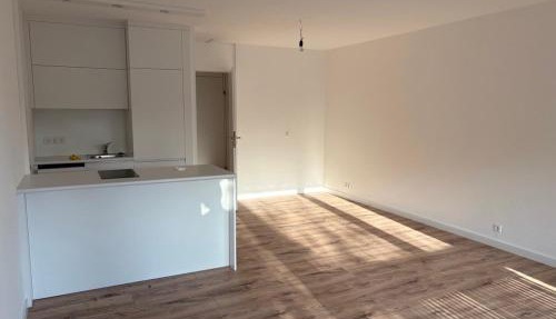 1 Single Big Room Apartment with Big Terrace, Kitchen, Sauna