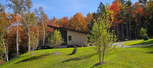 1B Contemporary cabin in magnificent setting, luxury and comfort, hot tub, AC!