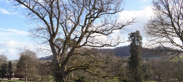 2 bedroom accommodation in Llanfyllin