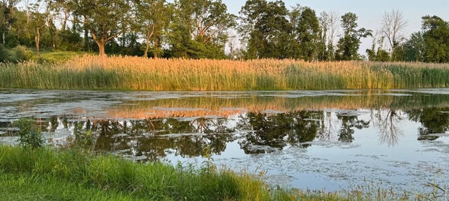 250 Acres of Refined Serenity for Bespoke Events & Gatherings