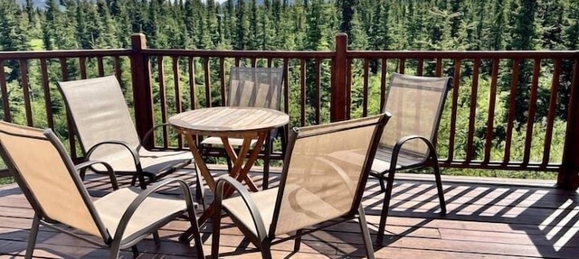 5 Star Denali Park Spacious Family Home