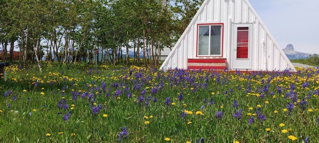 A-Frame Hiker's Retreat
