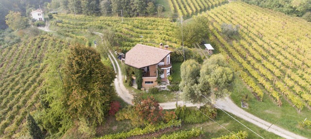 A house in the vineyard