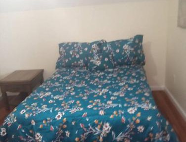 a nice one bedroom free parking
