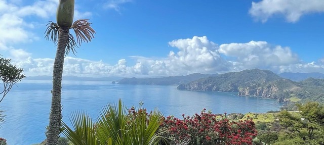 A private, funky cabin surrounded by natures beauty with the best views in town.
