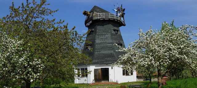 A windmill to fall in love with, family and dog-friendly with a large garden