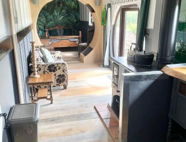 Acorn Cabin