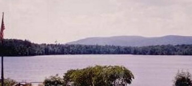 Adirondack Lake Front Cottage