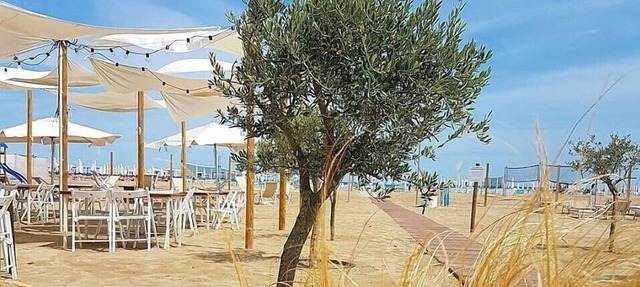 Alba Hotel