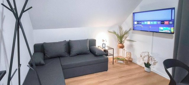 ALFA 4-room apartment Stuttgart 8 p. Netflix INET