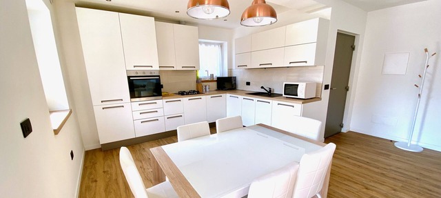 Ample modern and luminous apartment in Predazzo