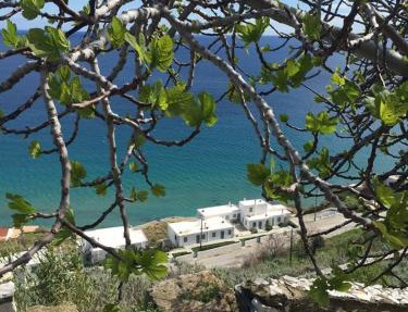 Antigoni