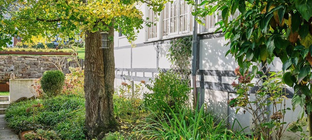 Apartment in the half-timbered courtyard 'house in motion'