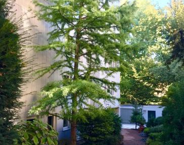 Apartment Centrum im Grünen