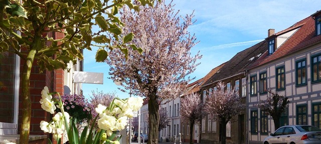 Apartment Notzel