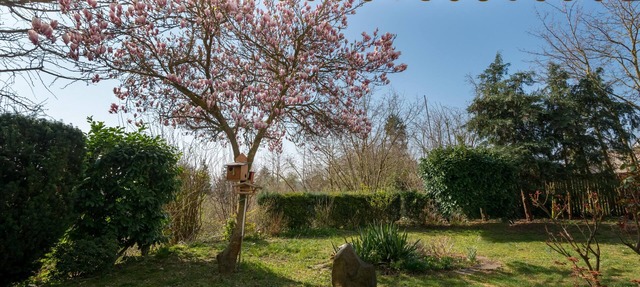Apartment Oasis - Gemütliche Wohnung mit Garten