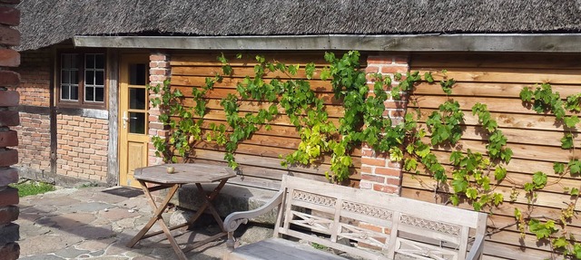 Apartment on the Baltic Sea in the beautiful Leonora forest