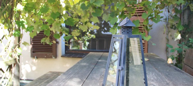 Apartment with garden