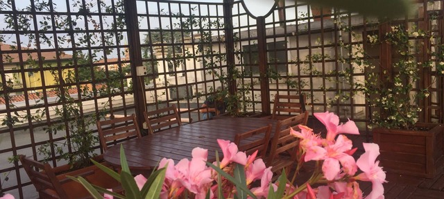 ARCELLA FLAT - flat with terrace-solarium