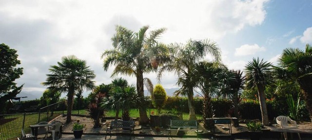 ASURE Kaimai View Motel