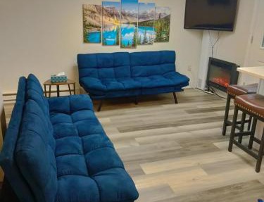 Attractive Lower Level Guest Suite with Private Entrance