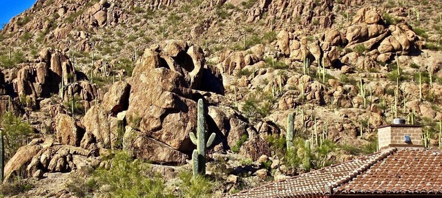 Authentic Tucson Experience: Mud Adobe Casita Nestled in Canyon Among Wildlife