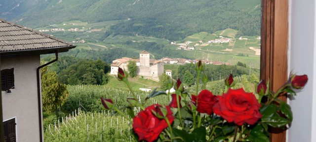 B&B al Trifoglio