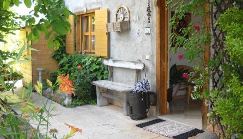 B&B Artemia