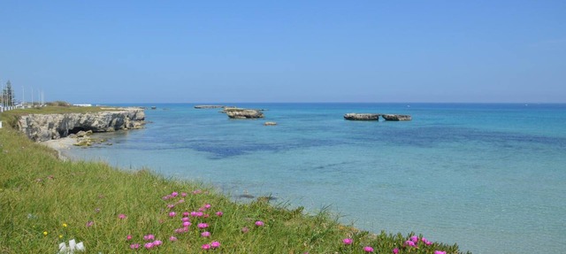 B&B Il Geranio