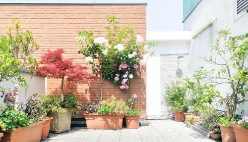 B&B Vimo - Appartamento con terrazzo privato Milano San Raffaele - Vimodrone