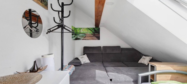 Bailey Shared Apartment Room with Wi-Fi in Attic