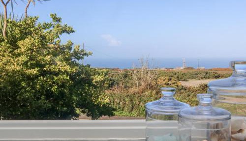 Bal View