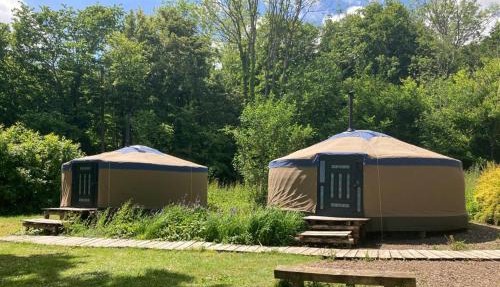 Barefoot Yurts