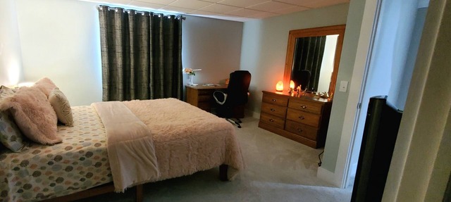 Basement Space with bedroom, living room, movie theatre and gym.