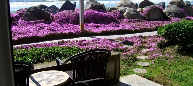 Beach Front Condo Nothing Between You & The Ocean! STEPS TO THE BEACH👙