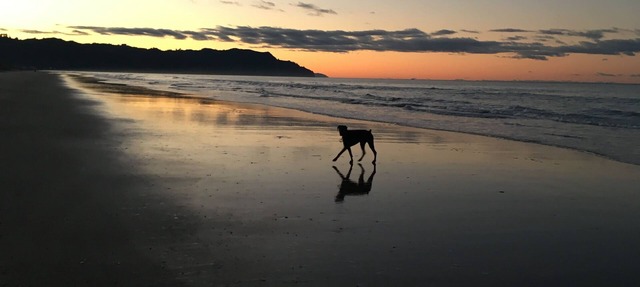 Beached on Broadway - Perfect for Couples, Families, Friends & the Family Dog