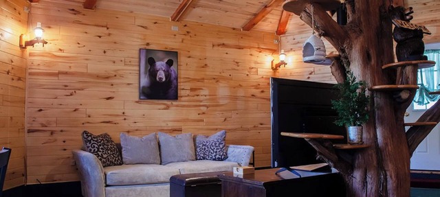 Bear Necessities Cabin, Mesa Verde Getaway