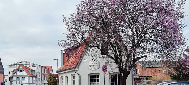 Beautiful central vacation apartment in the Alte Schmiede Winsen (Luhe)