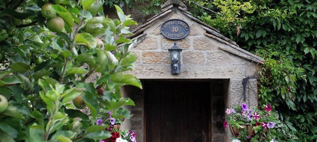Beautiful characterful cottage,family and dog friendly,quiet,close to amenities