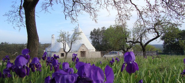 Beautiful hilltop Trulli w/POOL & A/C in almond & olive grove - TrulliVistas