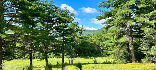 Beautiful property with Mountain View & privacy. Near trails, eateries & more!