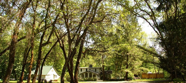 Beautiful Rustic Cabin and Bunkhouse on the Rogue River