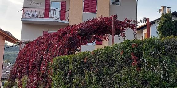 Bed & breakfast Villa Maria